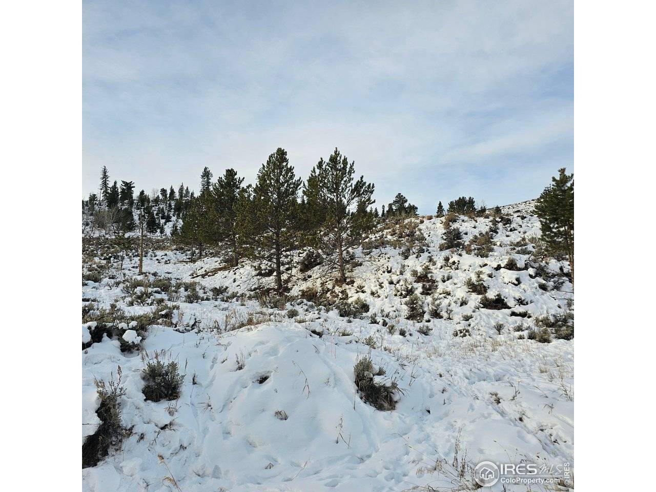 Roosevelt, Hot Sulphur Springs, CO 80451