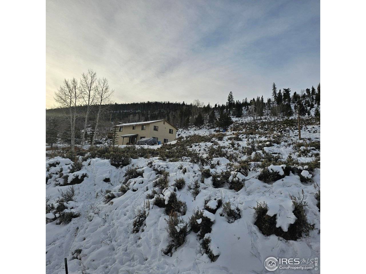 Roosevelt, Hot Sulphur Springs, CO 80451