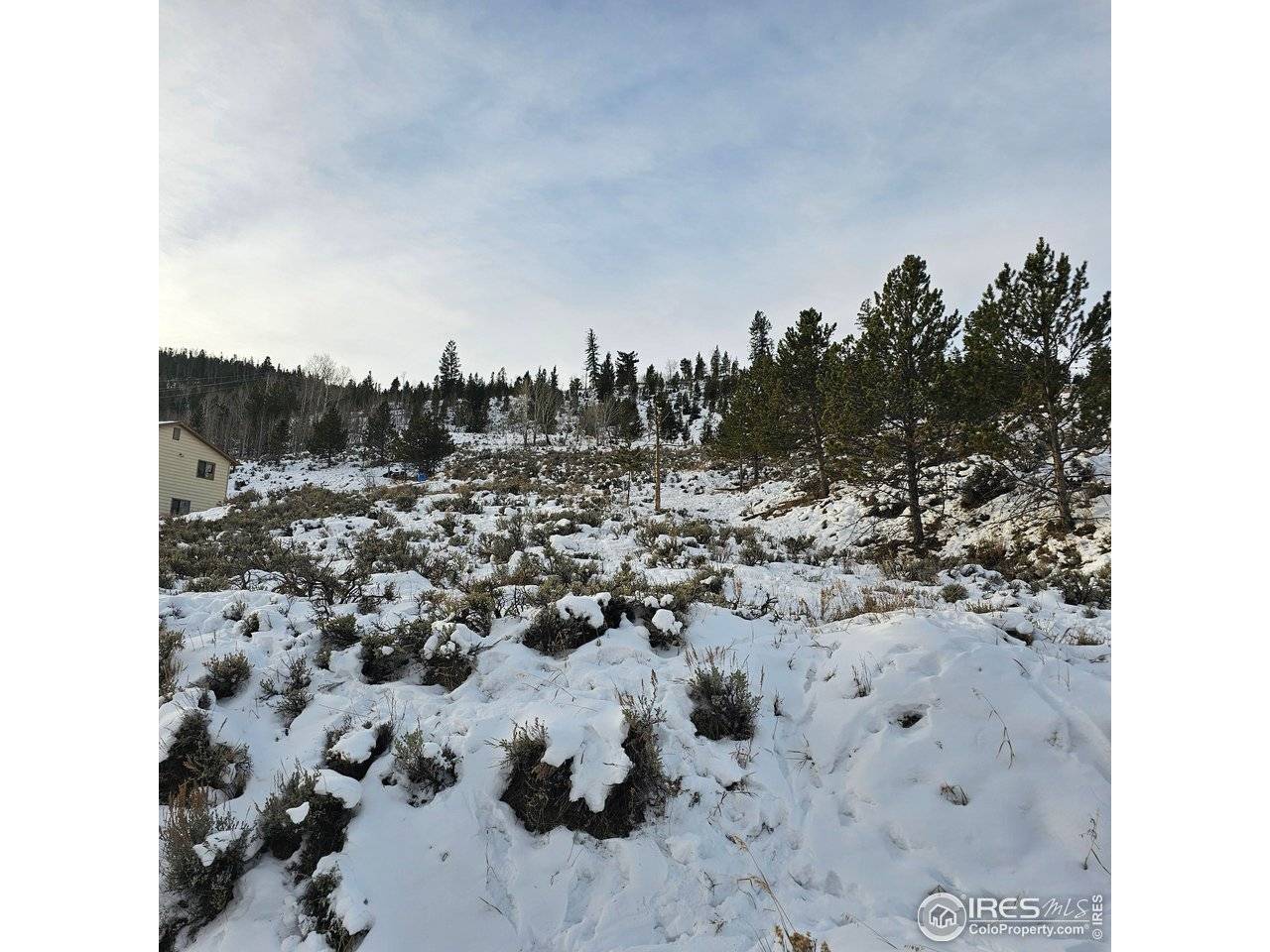Roosevelt, Hot Sulphur Springs, CO 80451