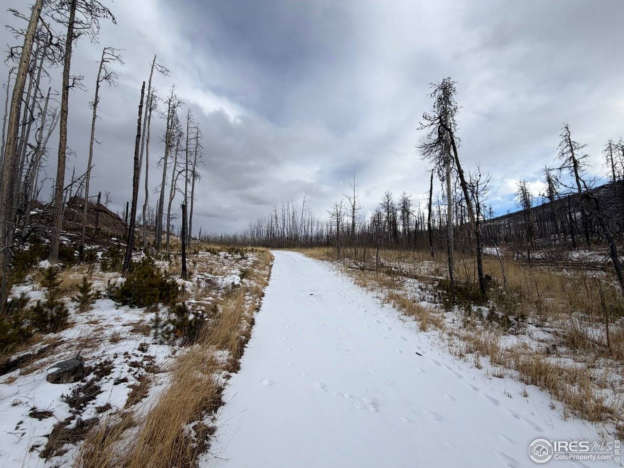 2025 Granite, Bellvue, CO 80512