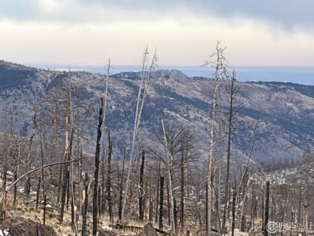 2025 Granite, Bellvue, CO 80512