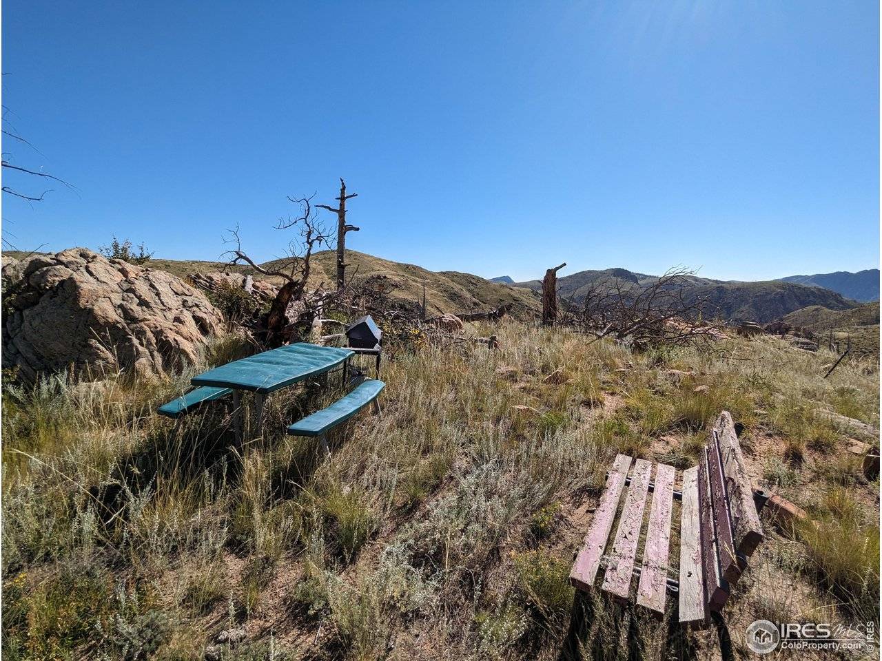 1360 Meadow Mountain, Livermore, CO 80536