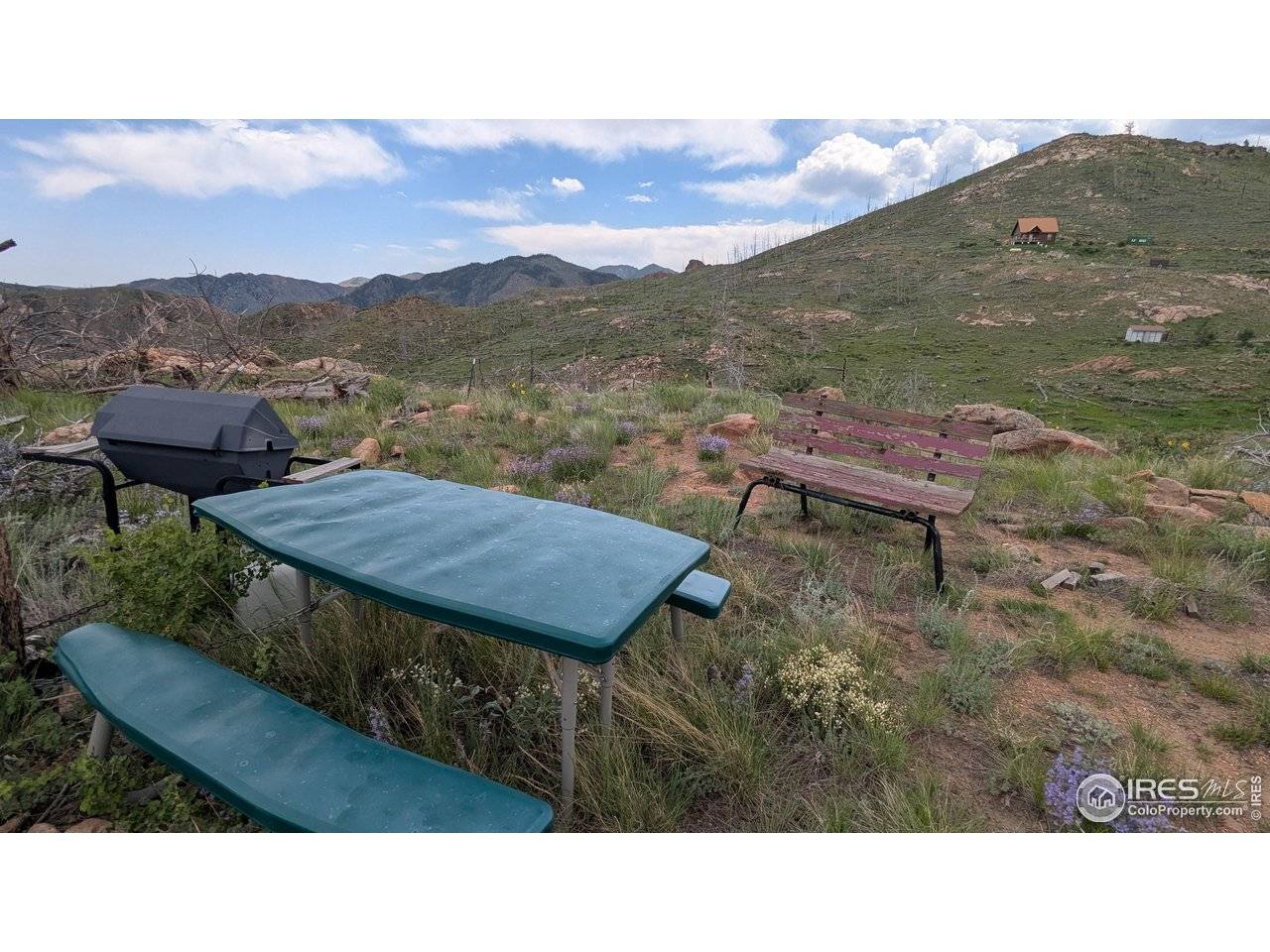 1360 Meadow Mountain, Livermore, CO 80536