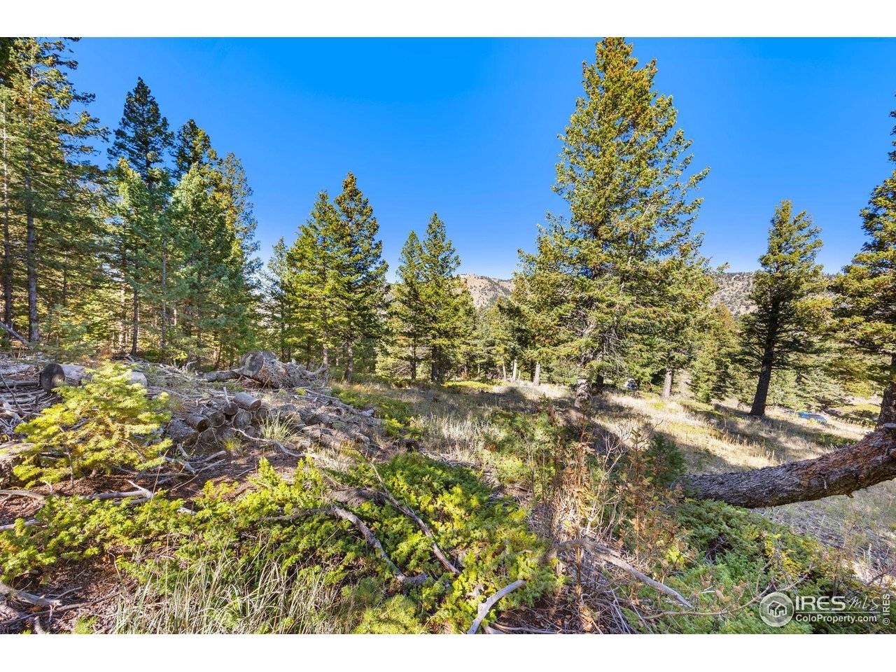 323 Roxbury, Boulder, CO 80302