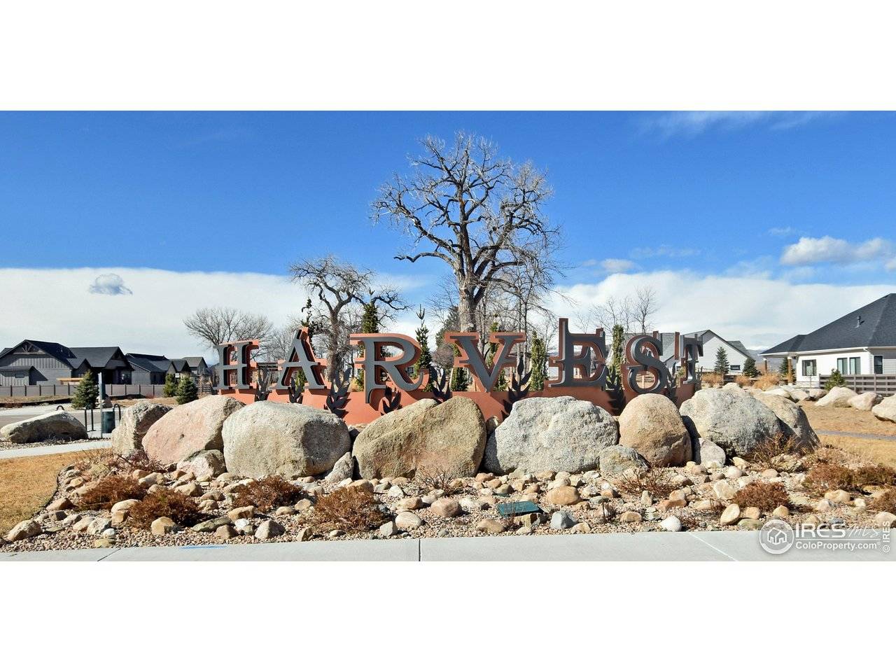 1346 Burt, Berthoud, CO 80513