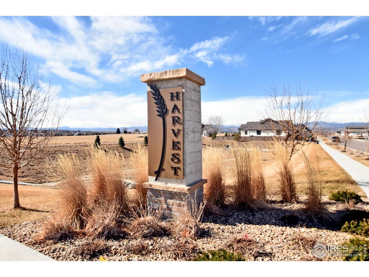 1346 Burt, Berthoud, CO 80513