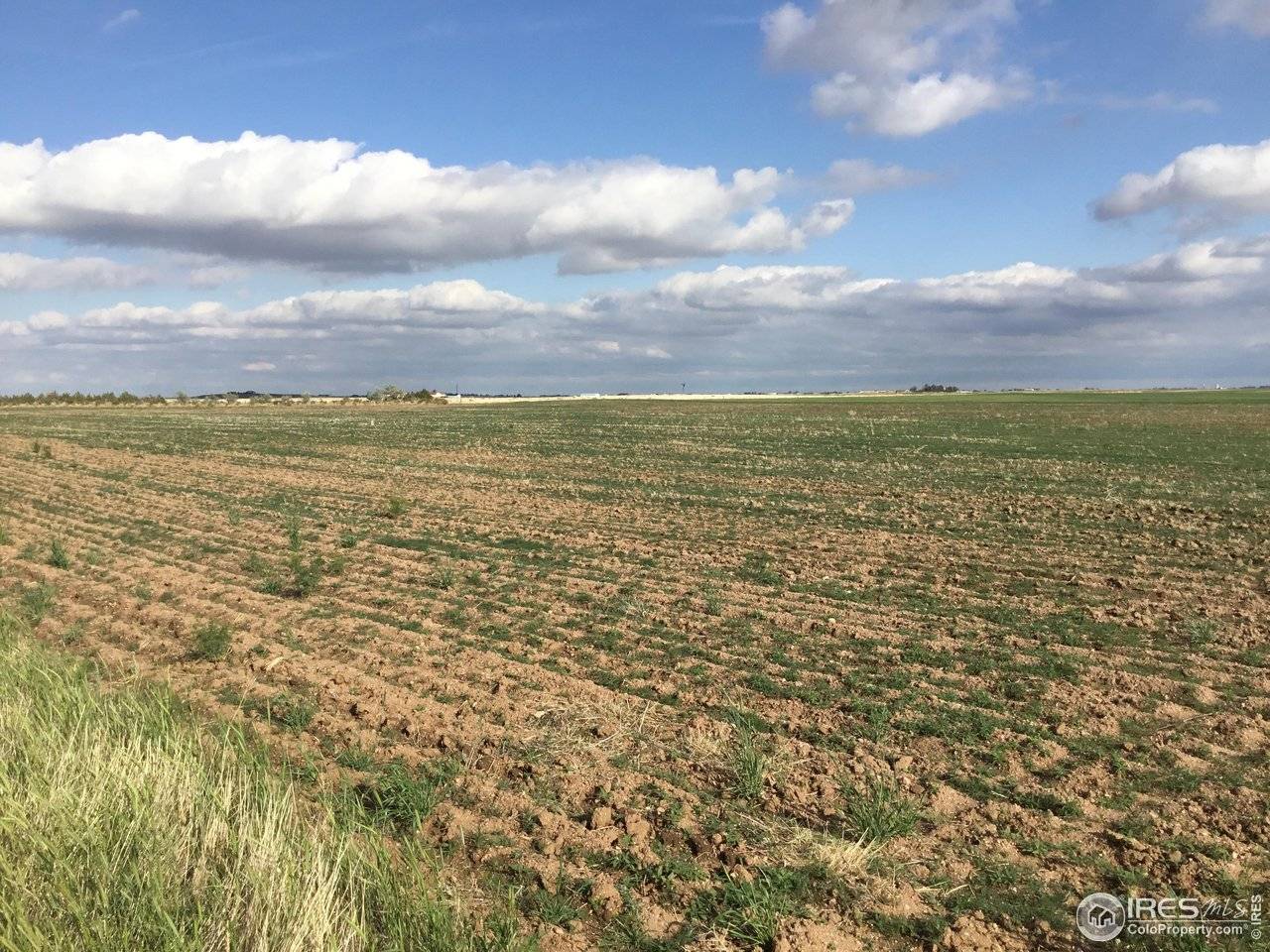 County Road 96, Nunn, CO 80648