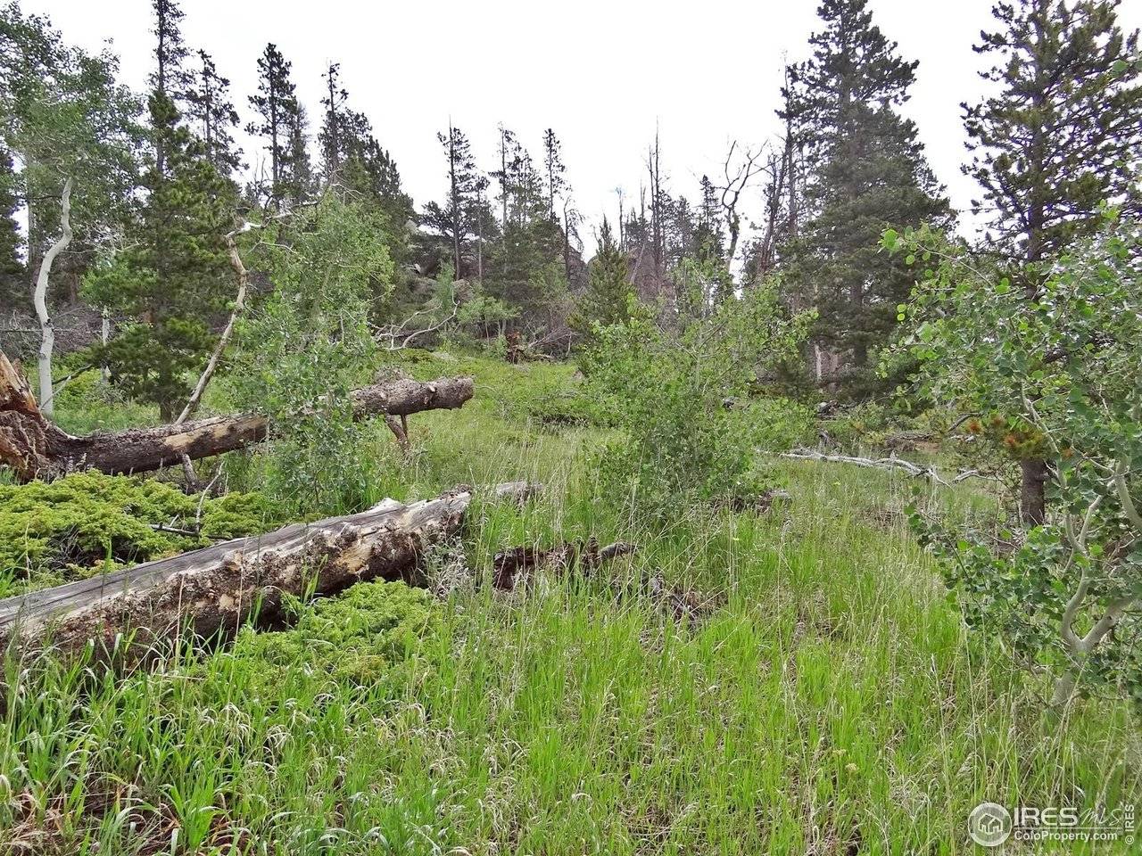 1683 Osage, Red Feather Lakes, CO 80545