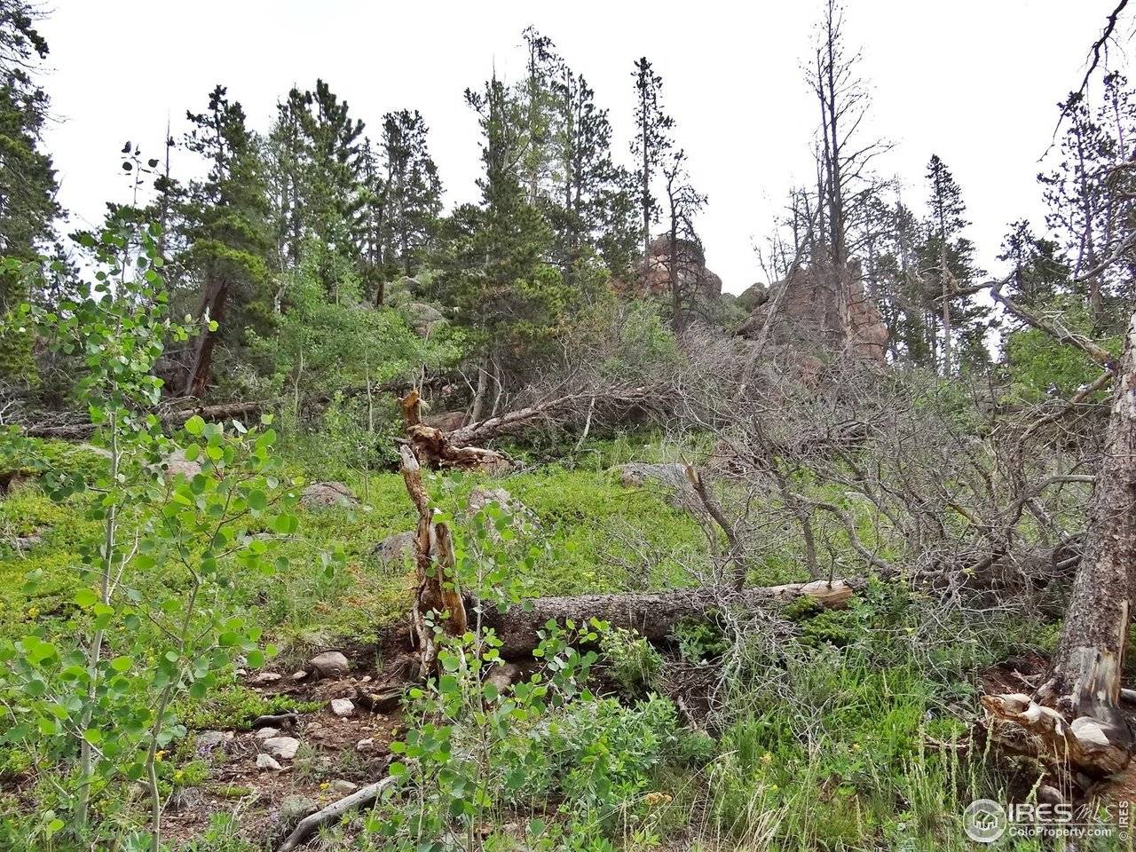 1683 Osage, Red Feather Lakes, CO 80545