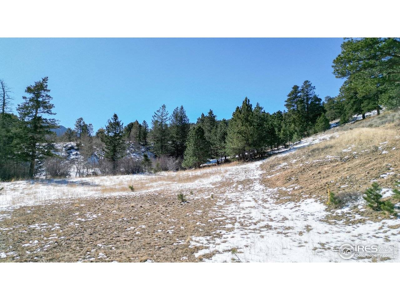 2799 Kiowa #Lot 24, Estes Park, CO 80517