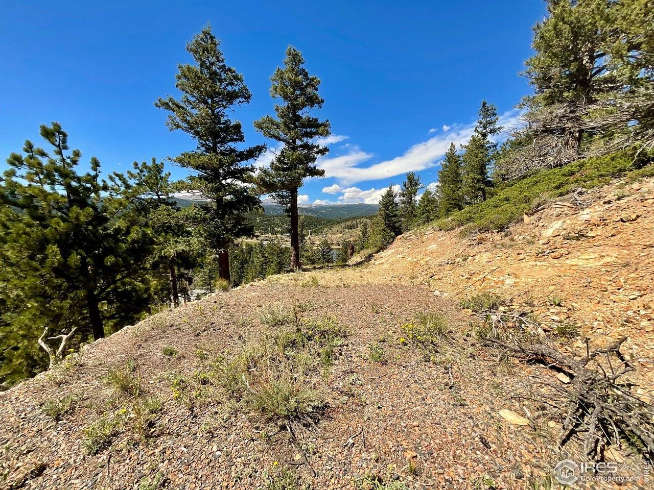 46 Pinecliff, Nederland, CO 80466