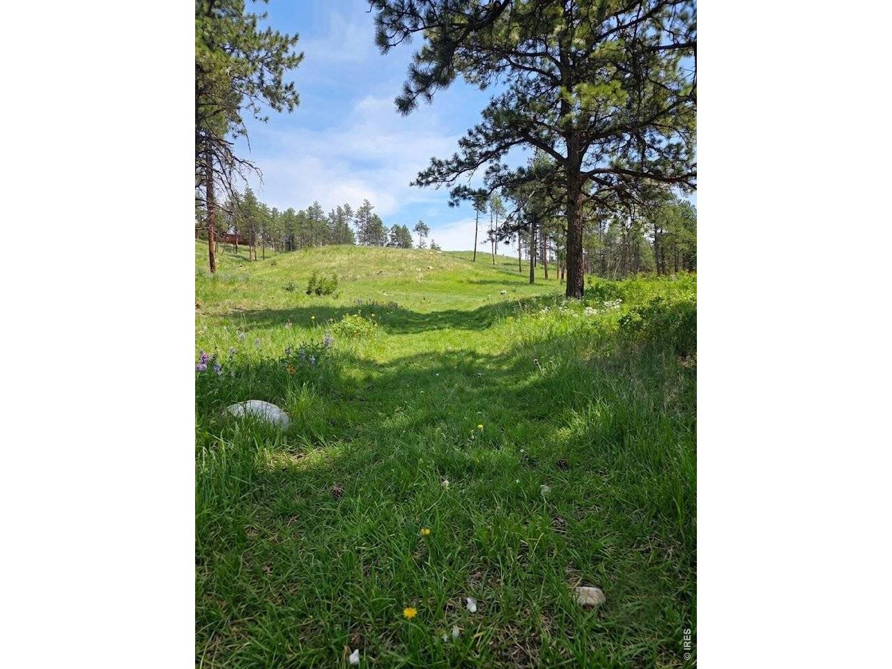 620 Davis Ranch, Bellvue, CO 80512