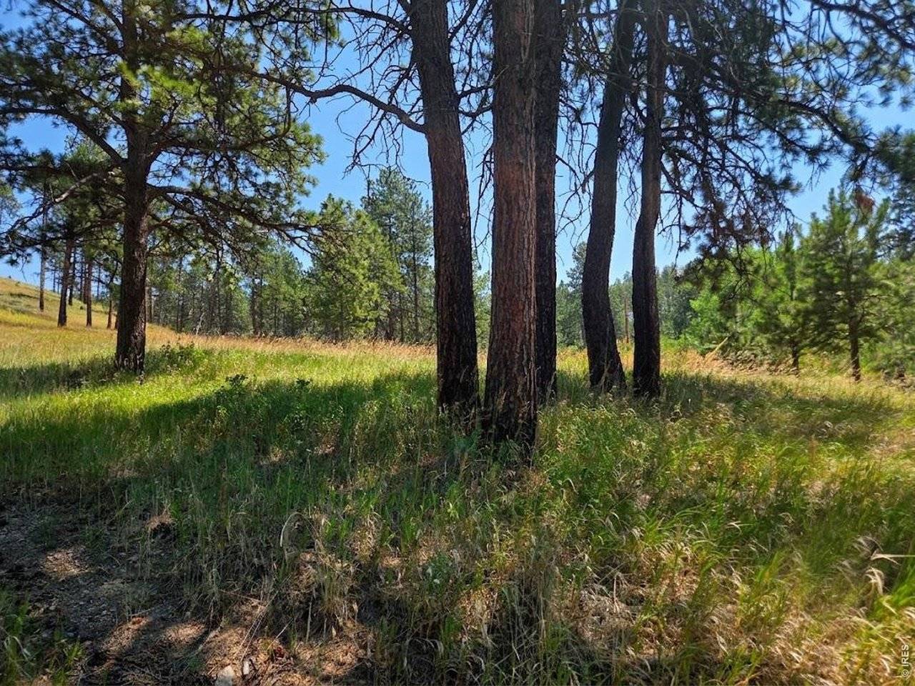 620 Davis Ranch, Bellvue, CO 80512