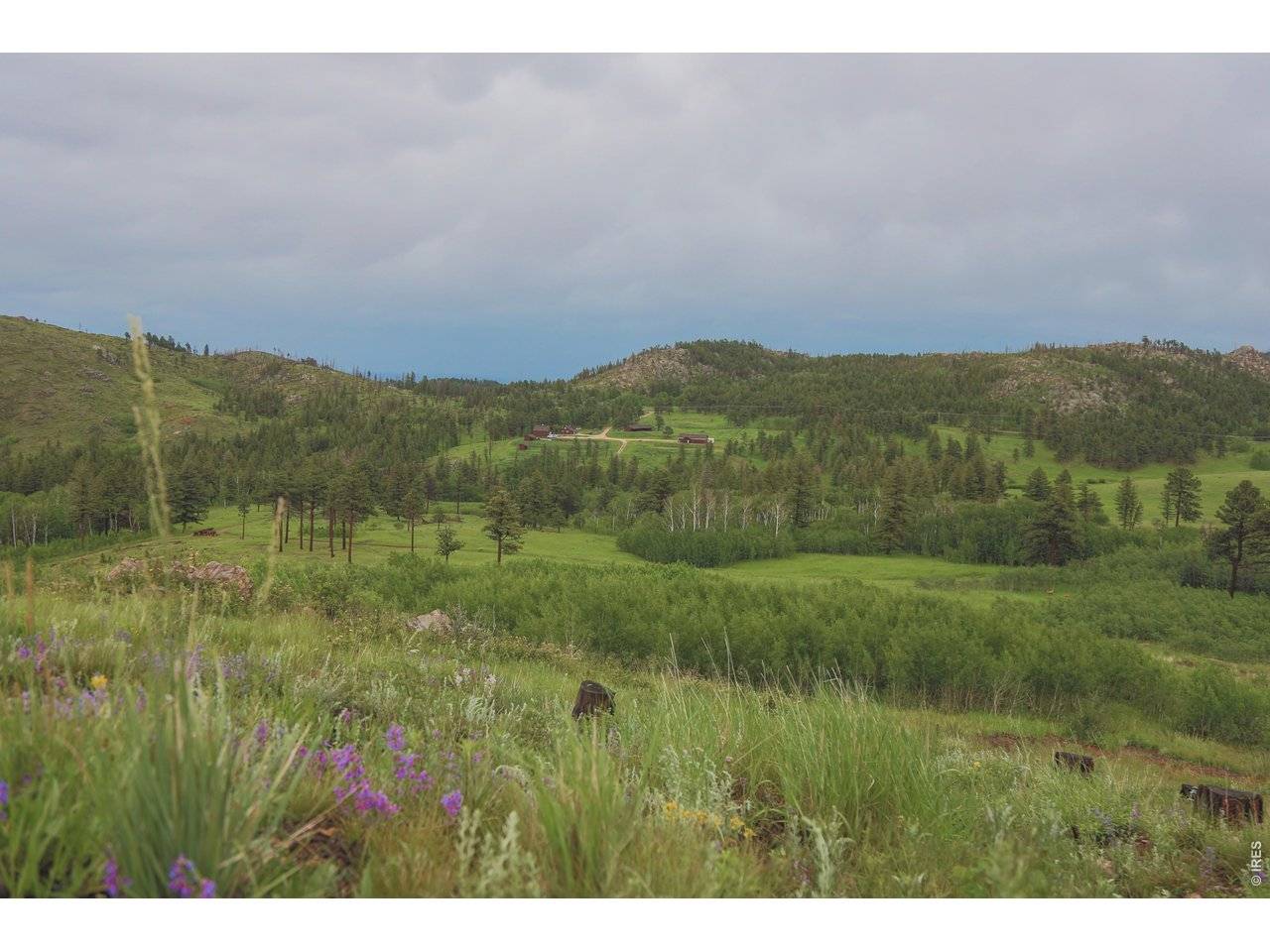 14884 Rist Canyon, Bellvue, CO 80512