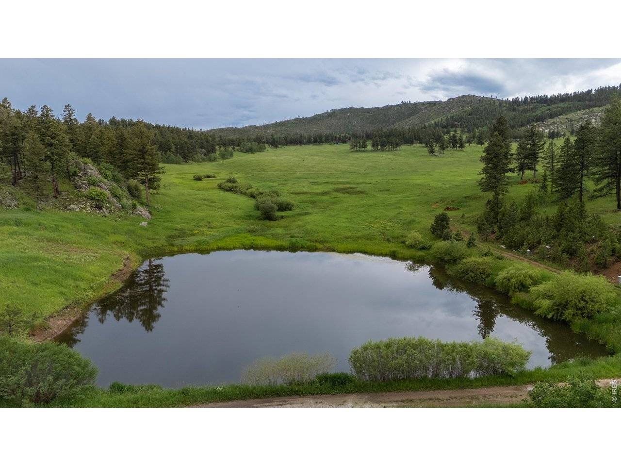 14884 Rist Canyon, Bellvue, CO 80512