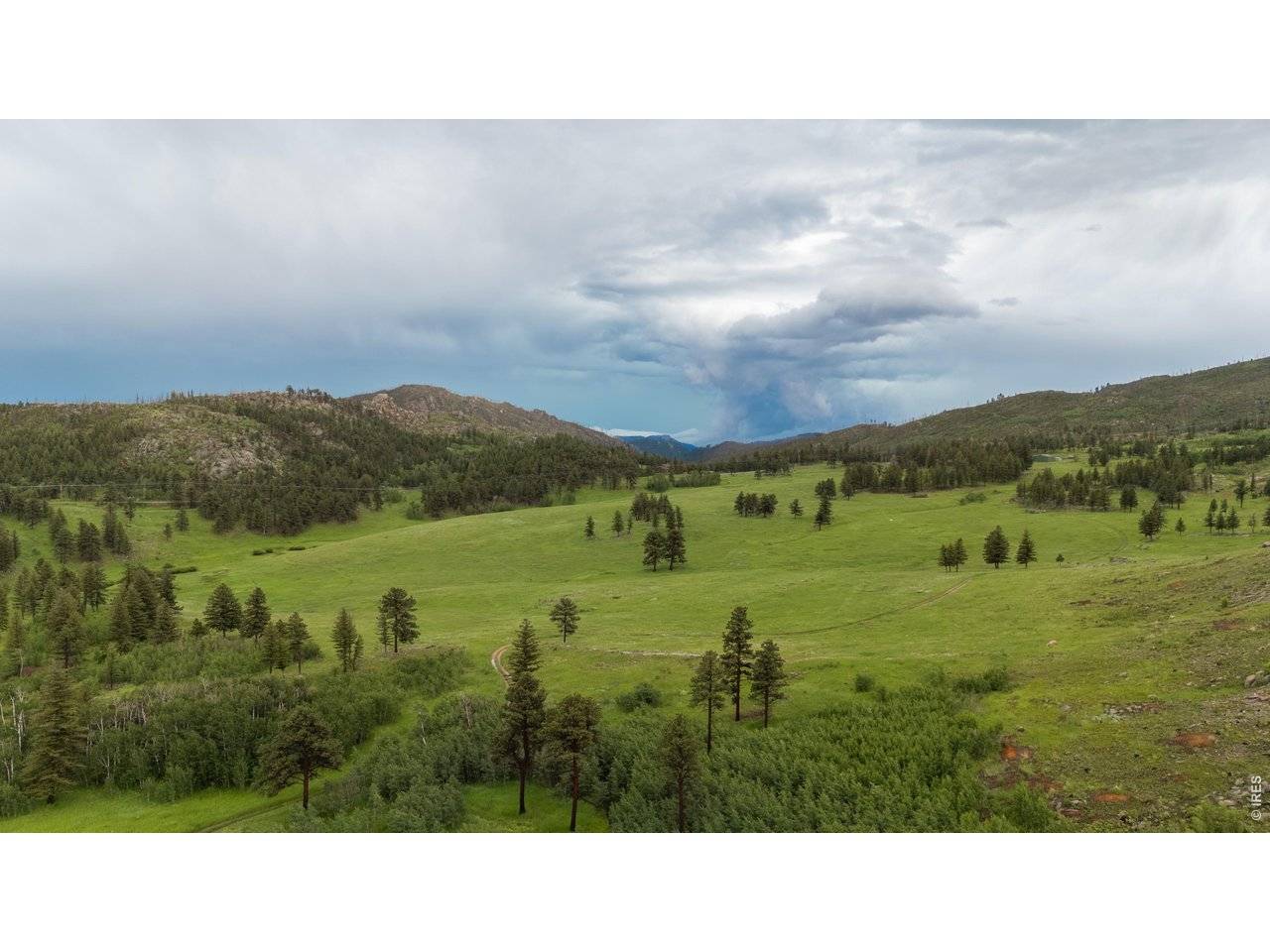 14884 Rist Canyon, Bellvue, CO 80512
