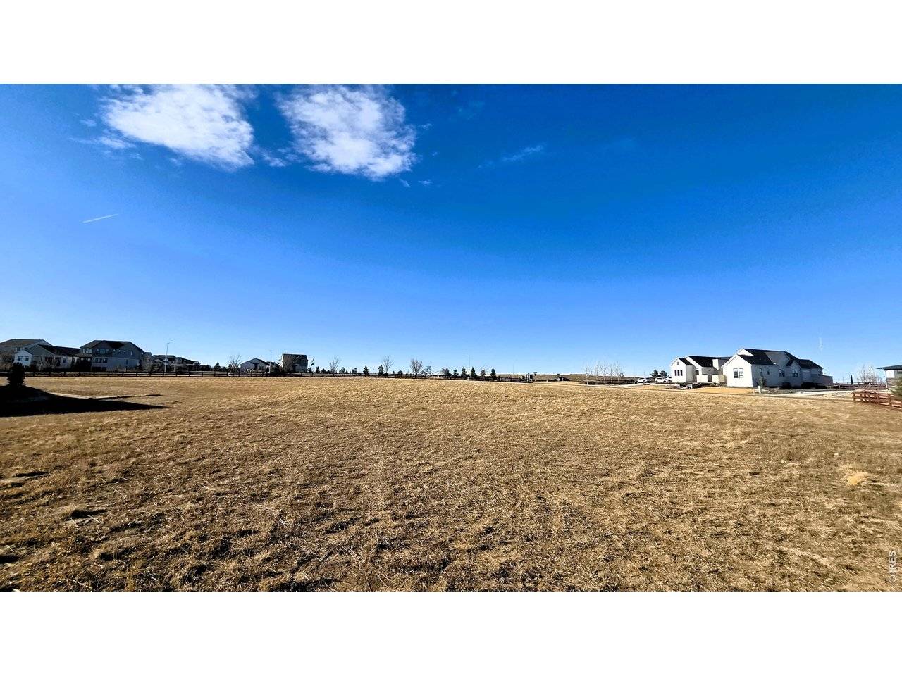 1508 Flowering Tree, Windsor, CO 80550