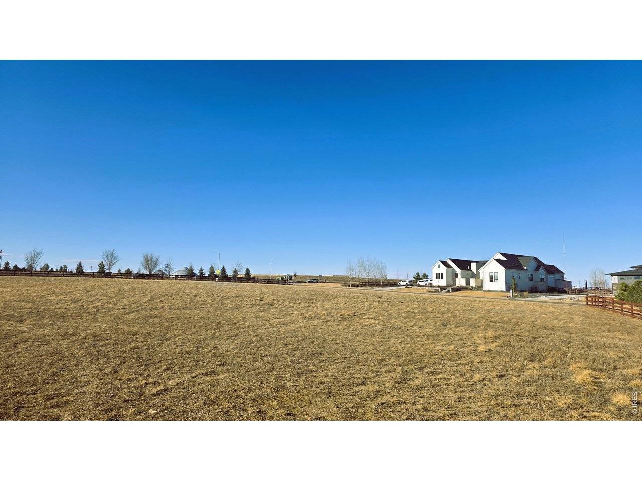 1508 Flowering Tree, Windsor, CO 80550