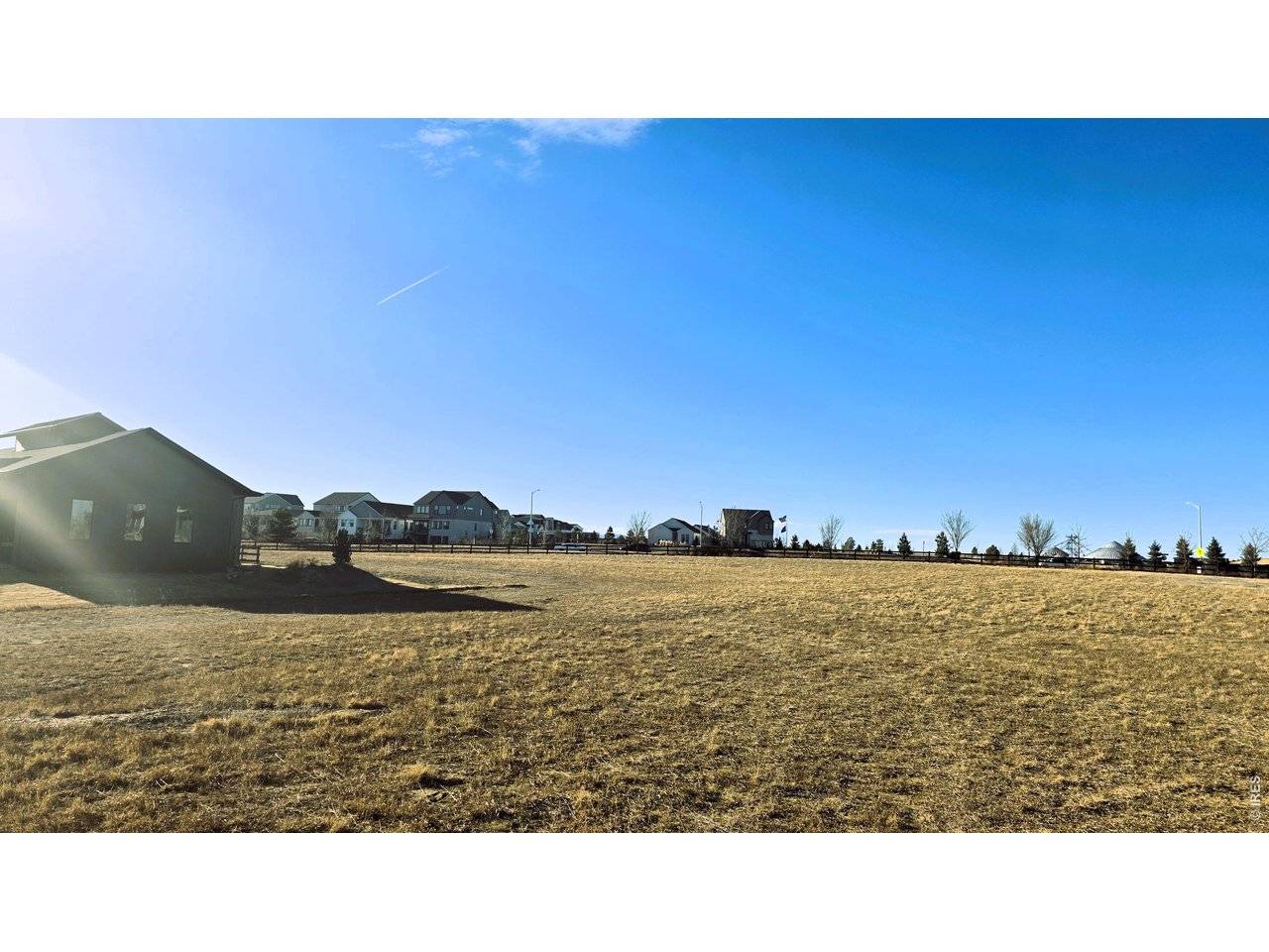 1508 Flowering Tree, Windsor, CO 80550