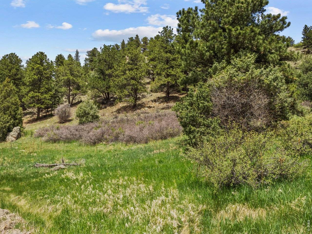 Dunraven Glade, Glen Haven, CO 80532