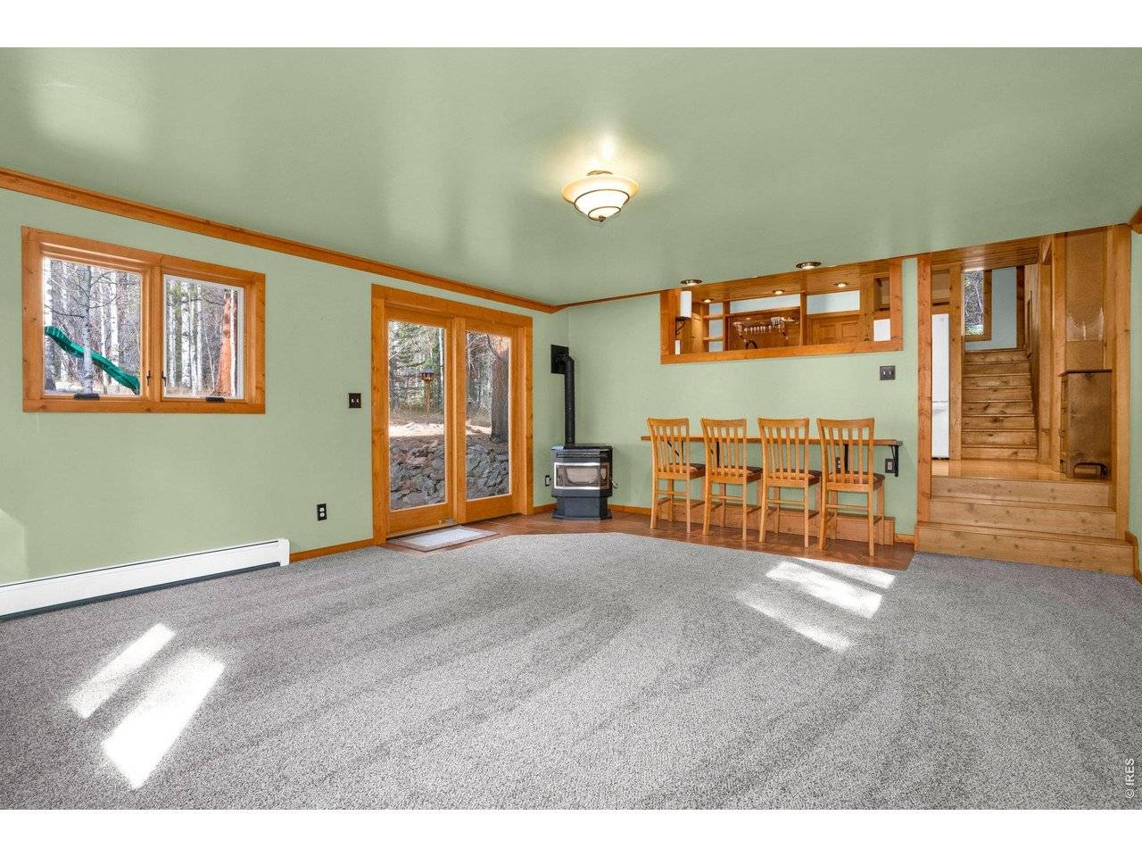 251 Haugen Slide, Allenspark, CO 80510