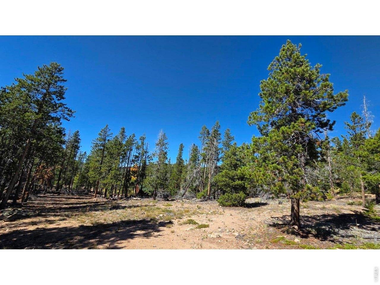 1367 Osage, Red Feather Lakes, CO 80545