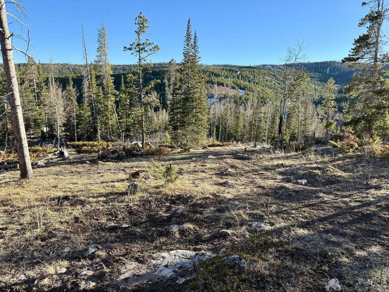 227 Micmac, Red Feather Lakes, CO 80545