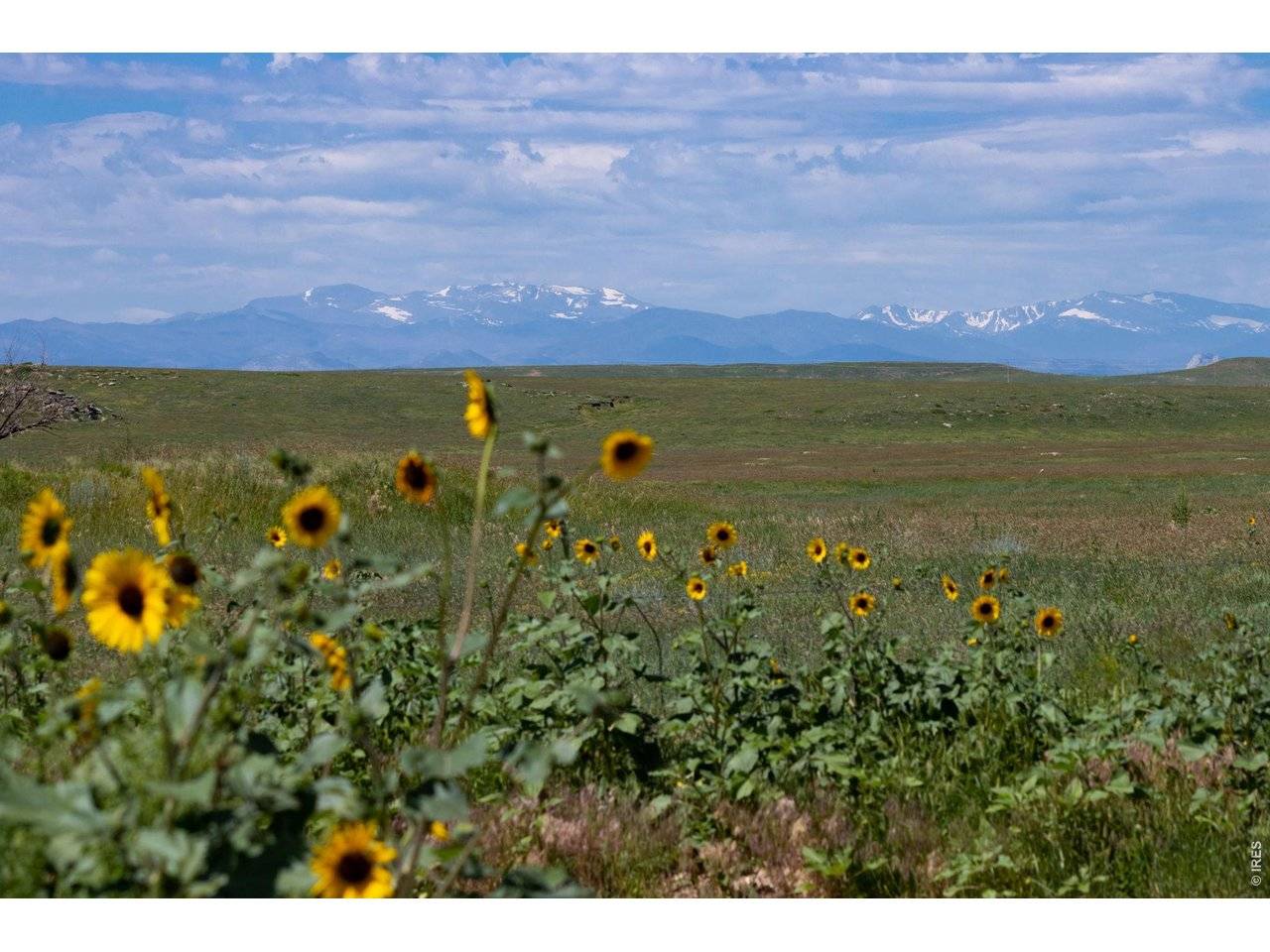 4 TBD County Road 21, Carr, CO 80612
