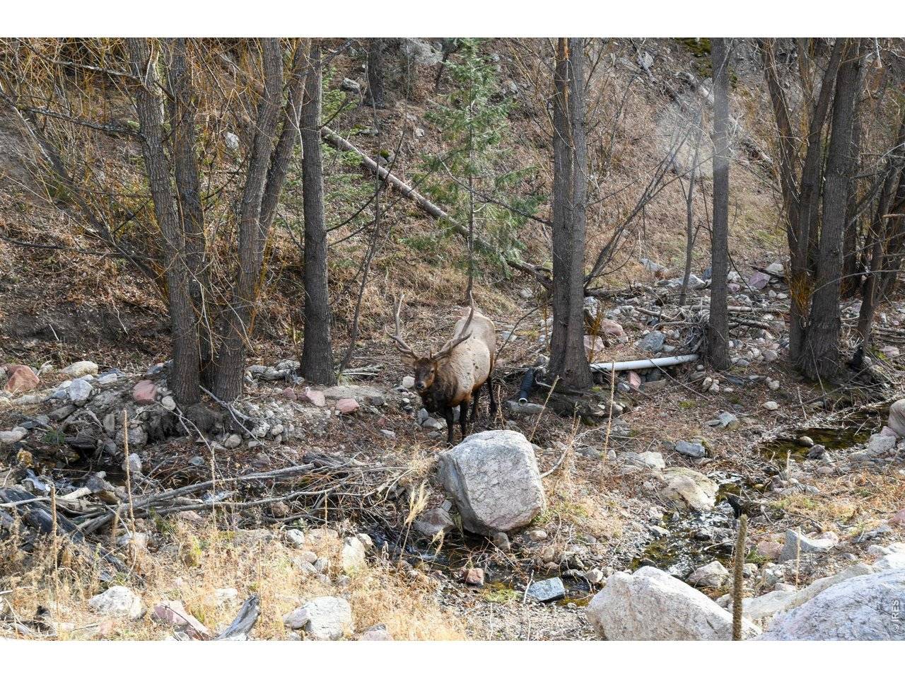 416 Black Creek, Glen Haven, CO 80532