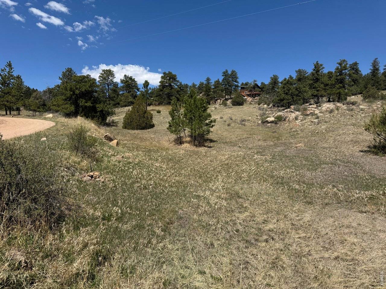 565 Le Conte, Livermore, CO 80536