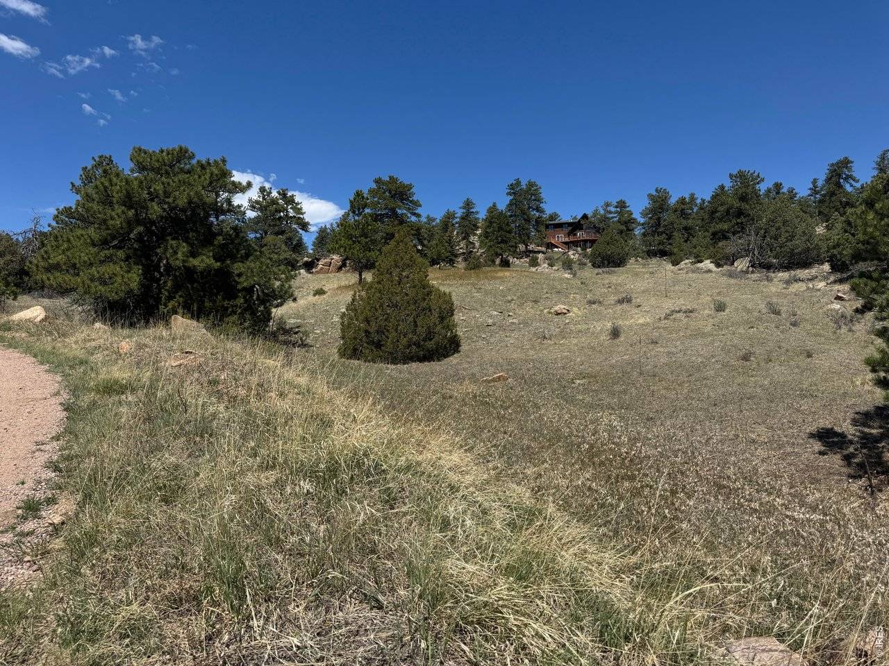 565 Le Conte, Livermore, CO 80536