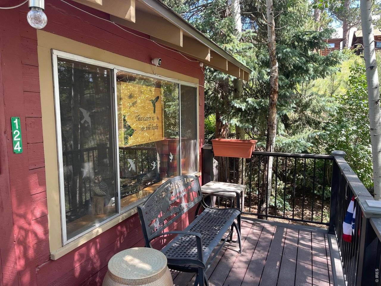 124 Ski, Allenspark, CO 80510