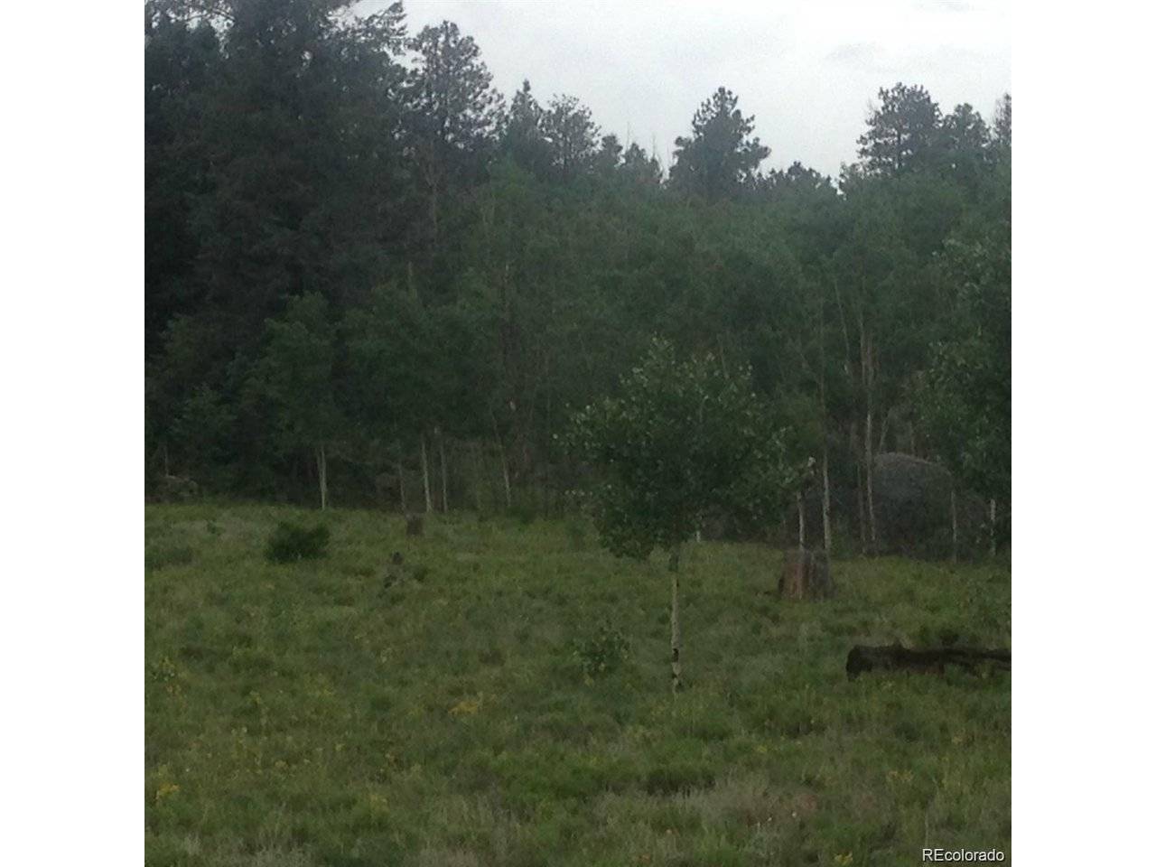1681 Athapascan, Hartsel, CO 80449