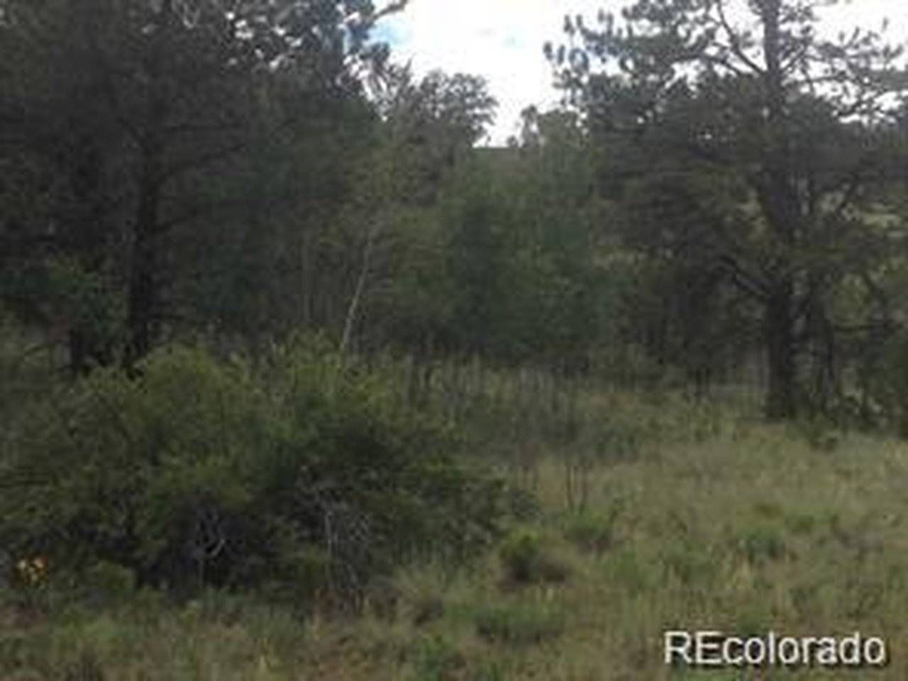 1681 Athapascan, Hartsel, CO 80449