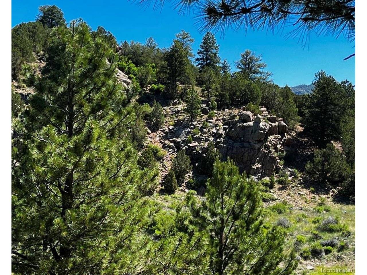 525 Brush Hollow, Westcliffe, CO 81252