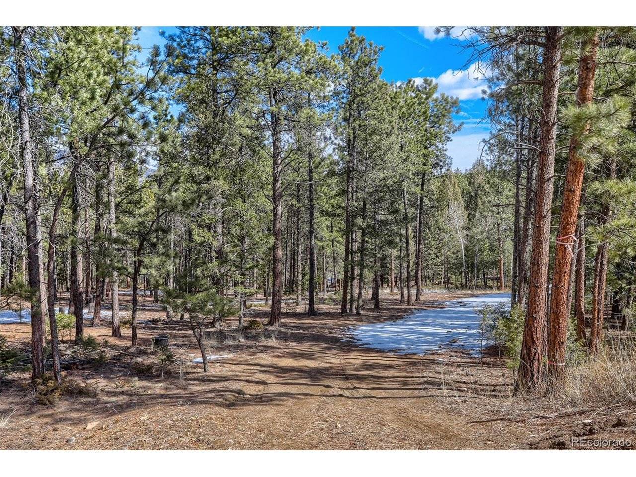 249 Territory, Pine, CO 80470