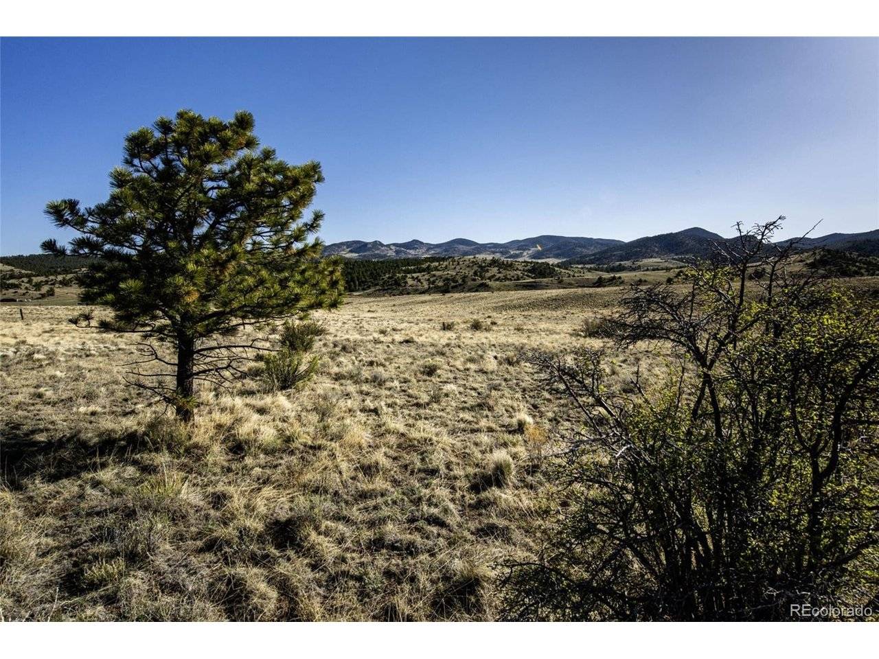 Address not disclosed, Westcliffe, CO 81252