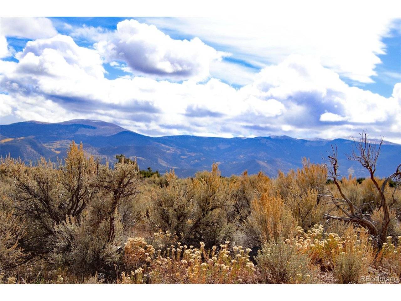 0 Wild Horse, San Luis, CO 81152