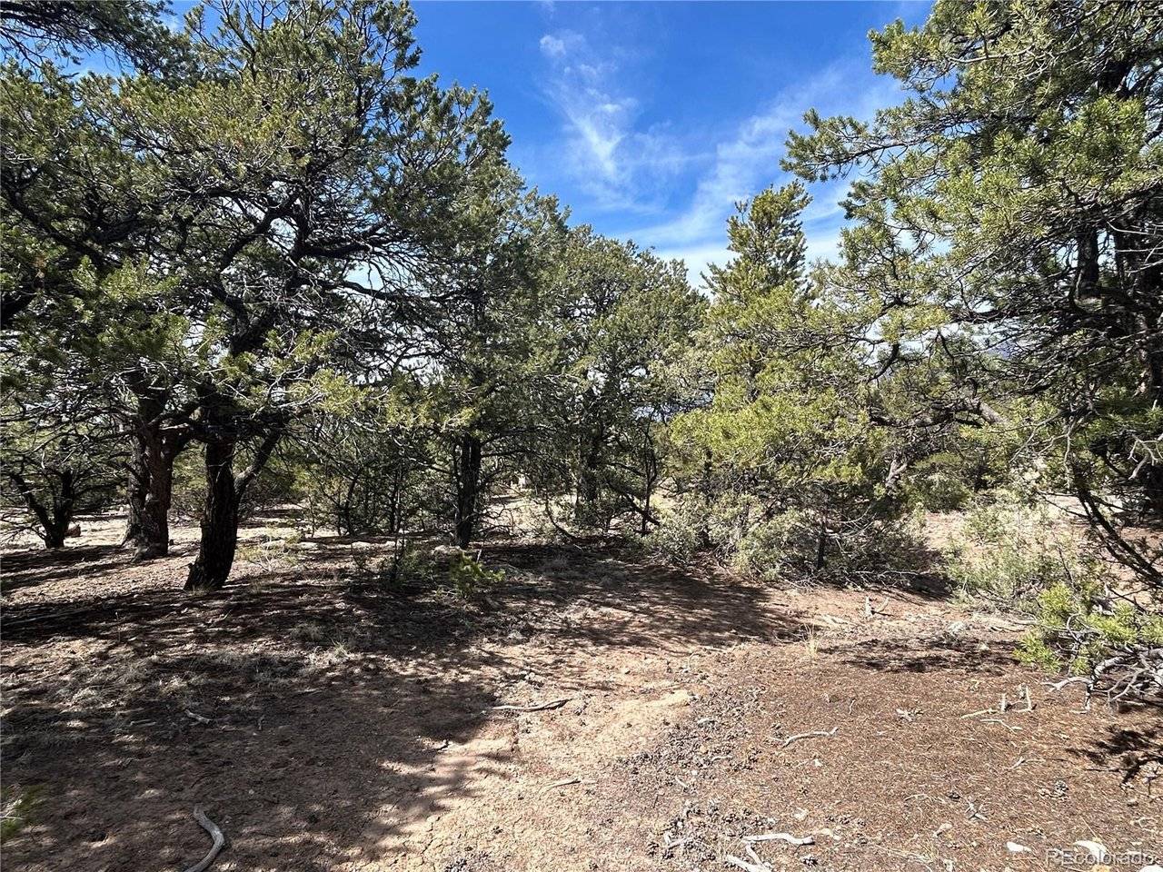 3545 Fallen Tree, Crestone, CO 81131