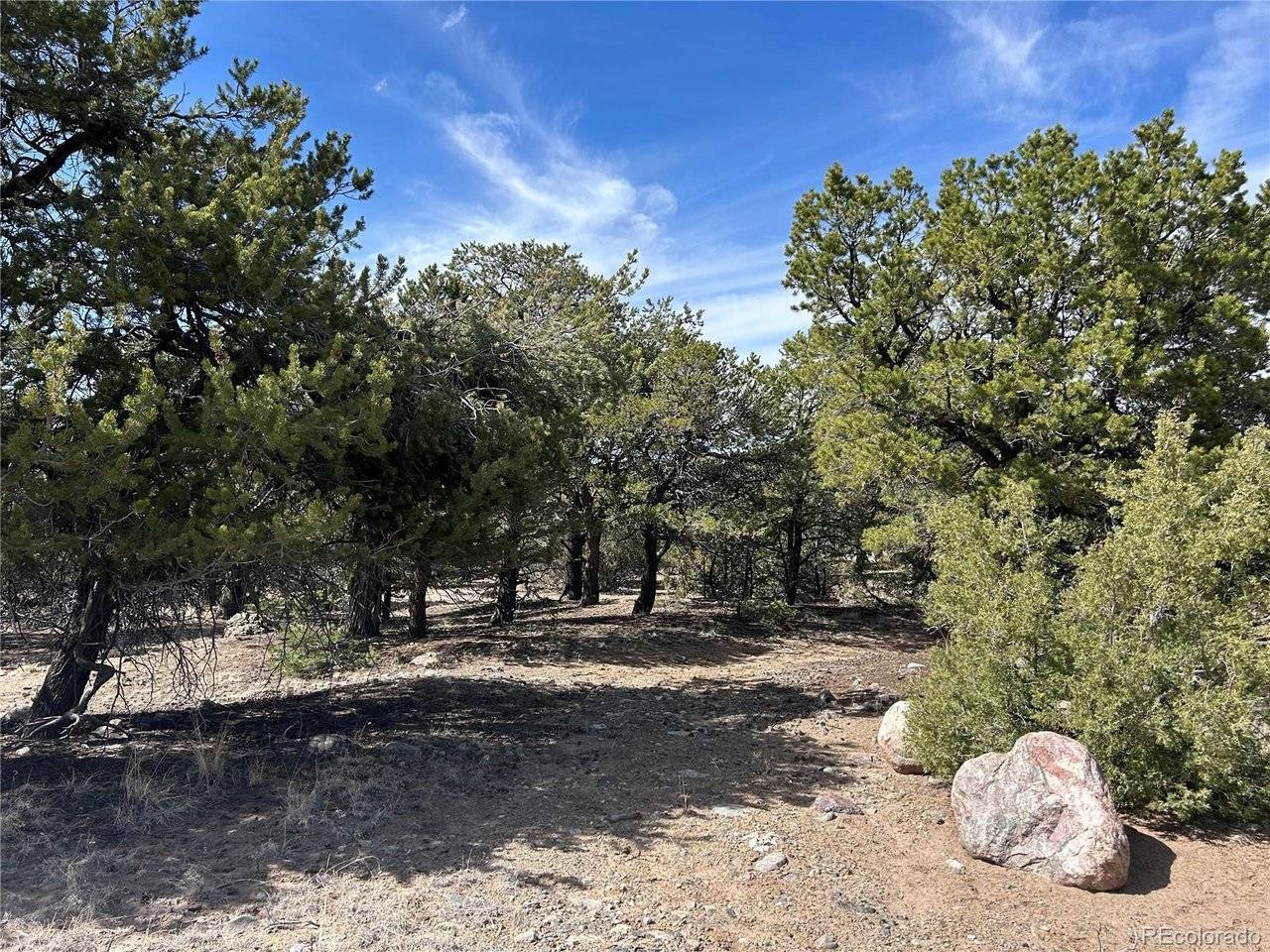 3545 Fallen Tree, Crestone, CO 81131