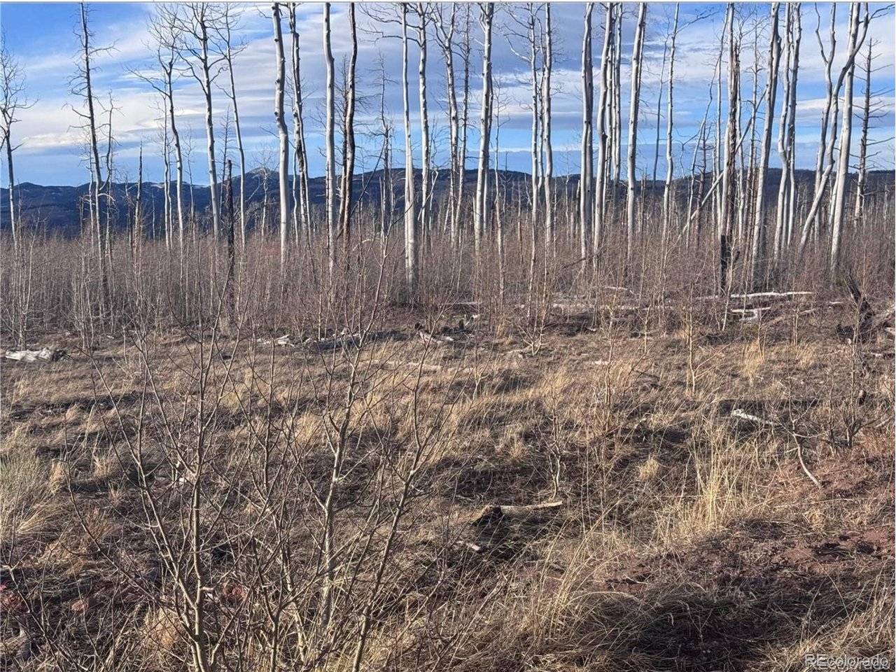 1290 Clayton, Fort Garland, CO 81133
