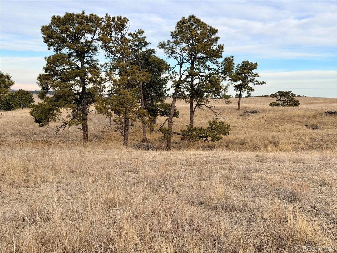 6 County Road 122, Ramah, CO 80832