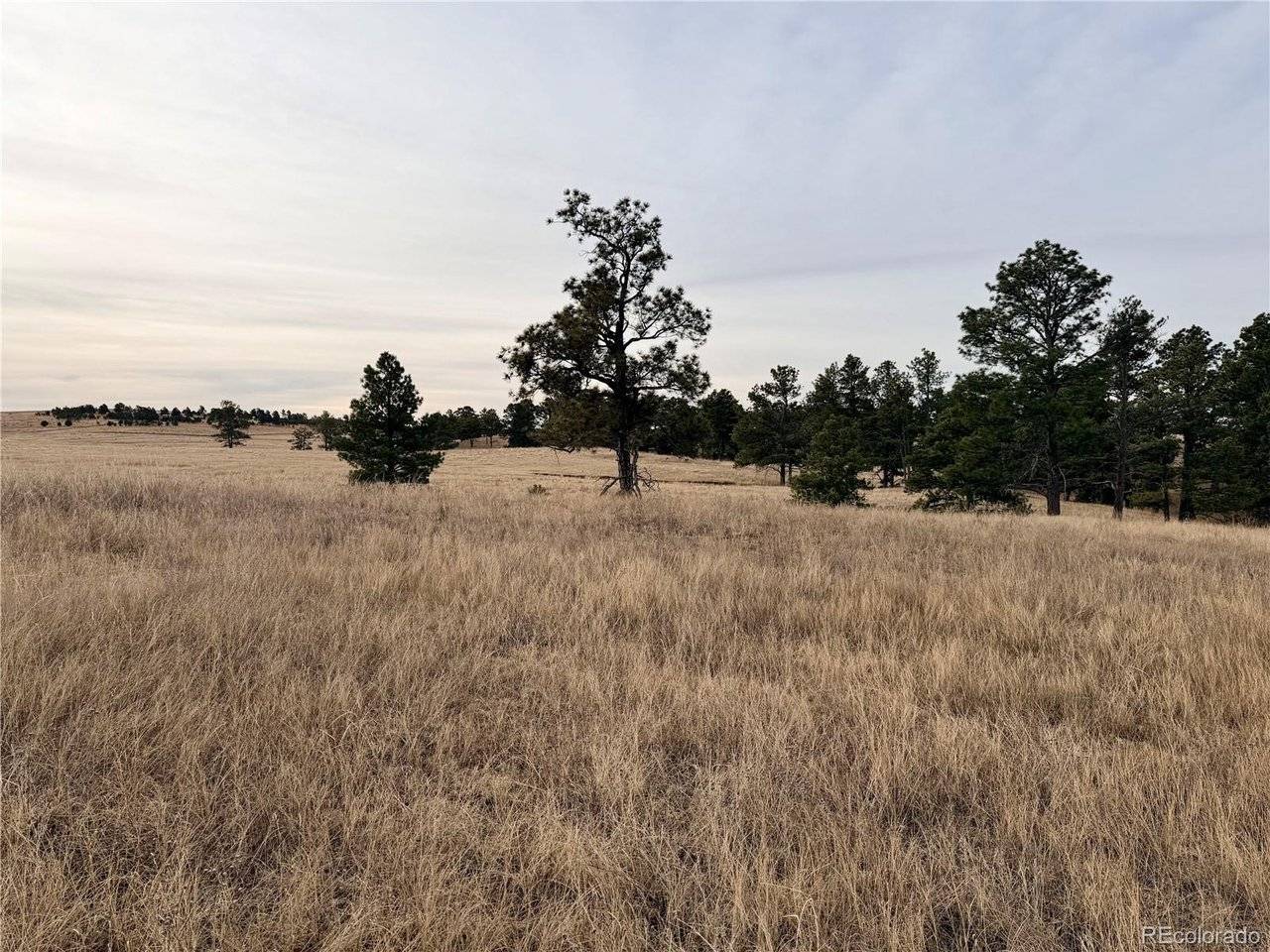 6 County Road 122, Ramah, CO 80832