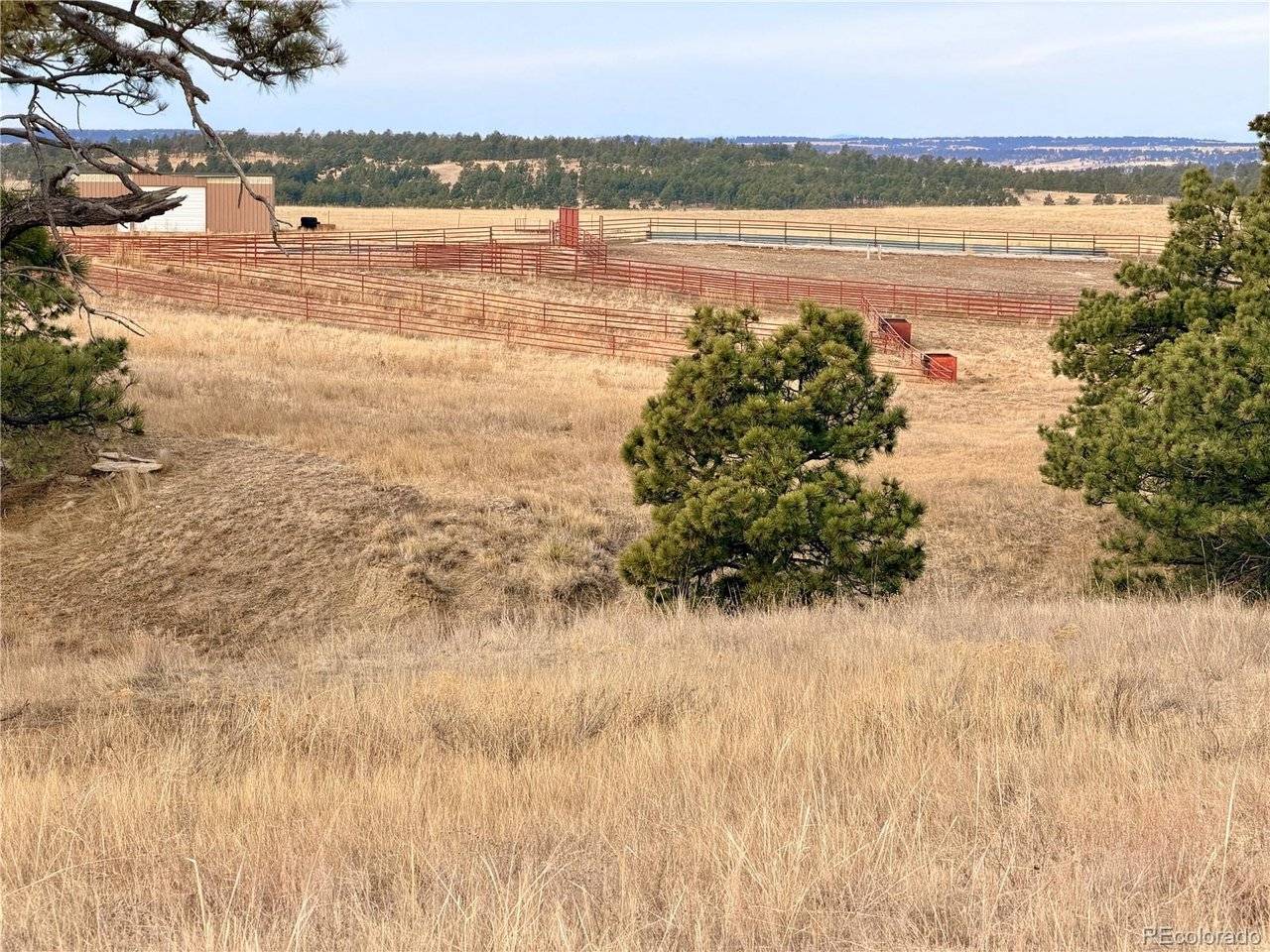 6 County Road 122, Ramah, CO 80832