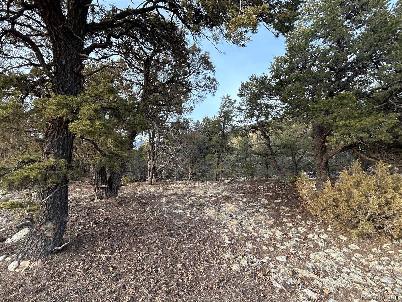 3593 Splendid, Crestone, CO 81131