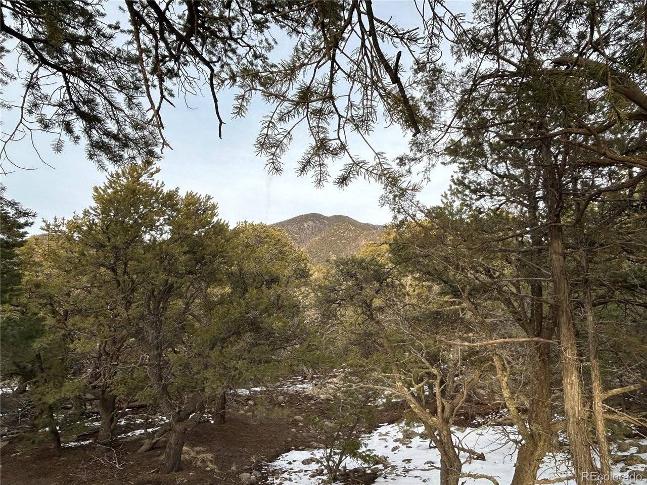 3593 Splendid, Crestone, CO 81131
