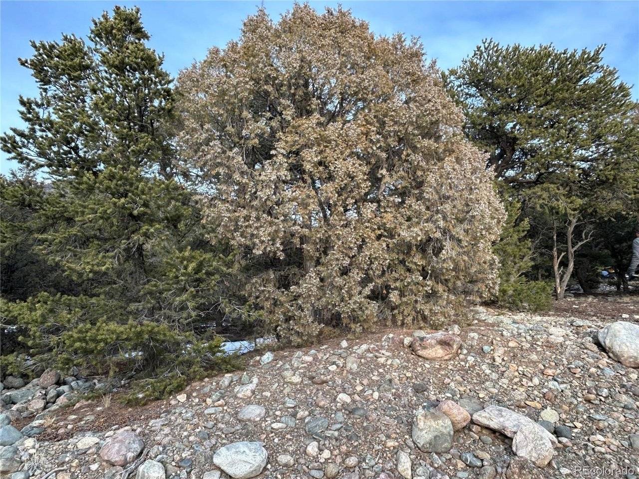 3593 Splendid, Crestone, CO 81131