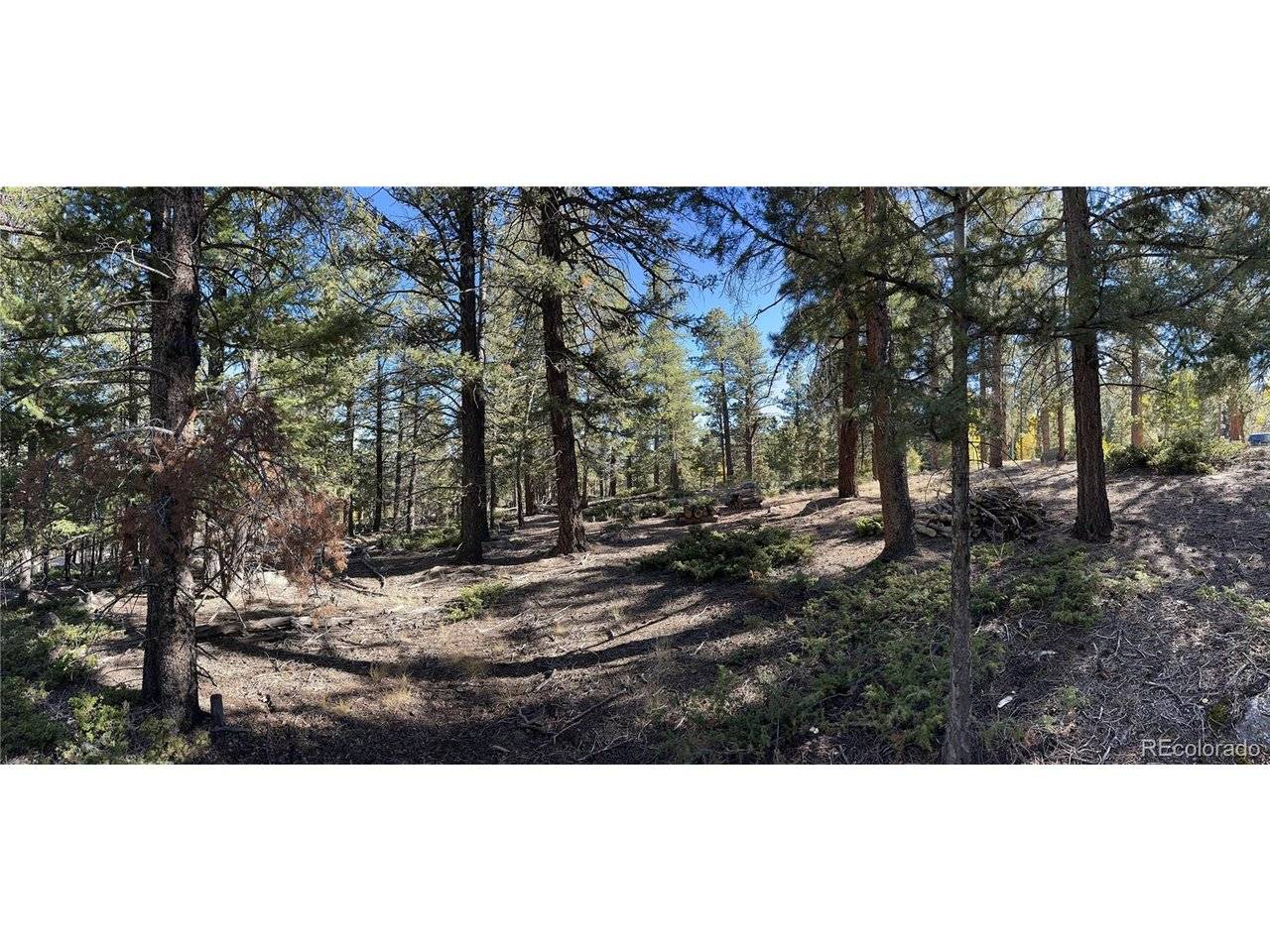 Aspen Turn, Buena Vista, CO 81211
