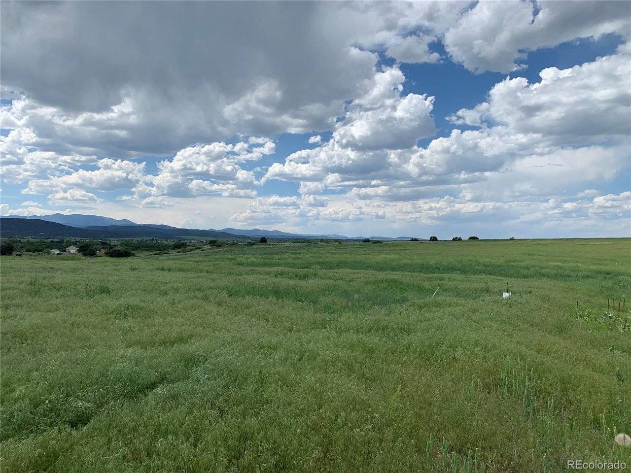 COLUMBINE, Colorado City, CO 81019