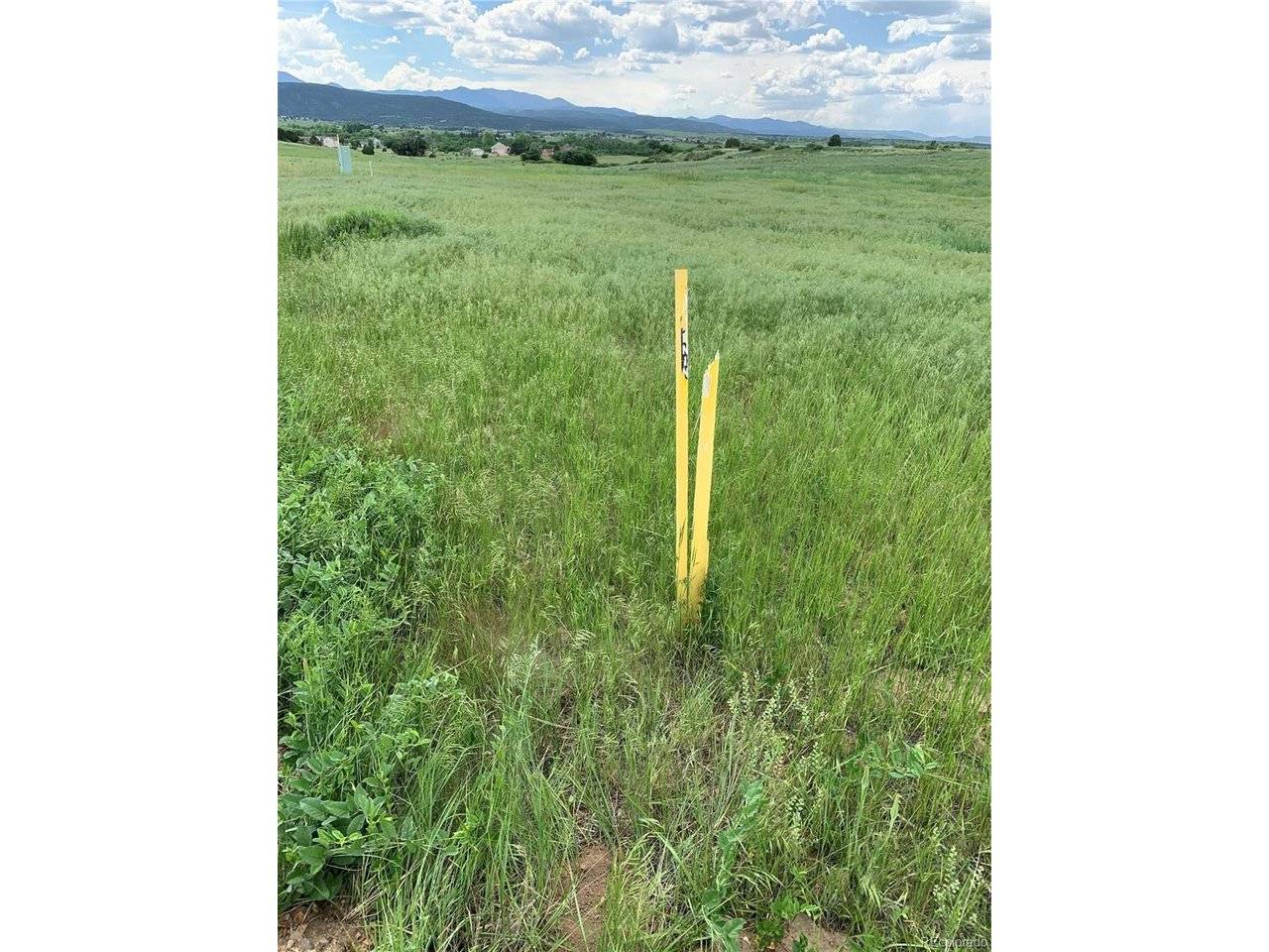 COLUMBINE, Colorado City, CO 81019